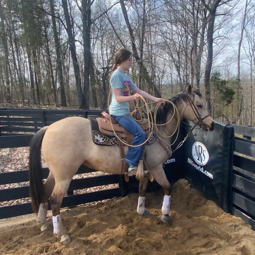 Meet your Posher, Blair